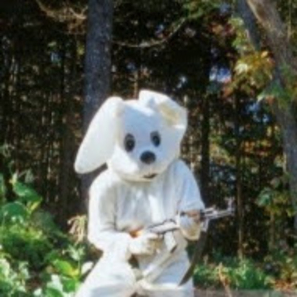 Meet your Posher, Clara - Picture 1 of 1